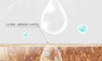 千年舟阻燃板全新?lián)Q代升級(jí)，守護(hù)生命的阻燃衛(wèi)士