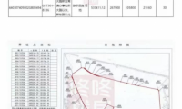 深圳800畝未收儲土地掛牌樂高集團 11名全國省人大代表提出監督
