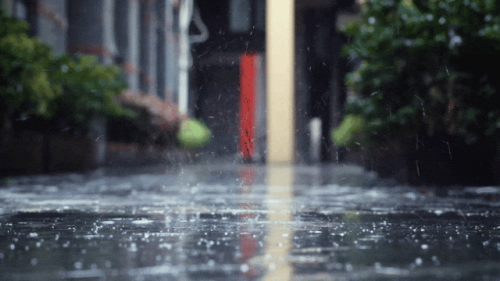 舟乘智木&middot;不染潮時丨誰說躲不開梅雨煩惱，有他們，無懼潮濕！