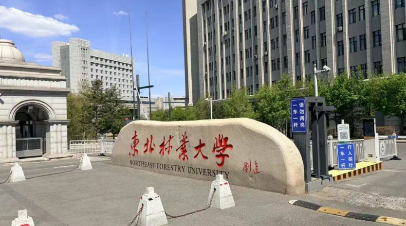 紋藝覺醒&middot;舟行東方丨千年舟走進東北林業大學，共啟家居設計新篇