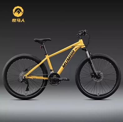 2026年口碑最好的TOP10新手騎行自行車推薦！