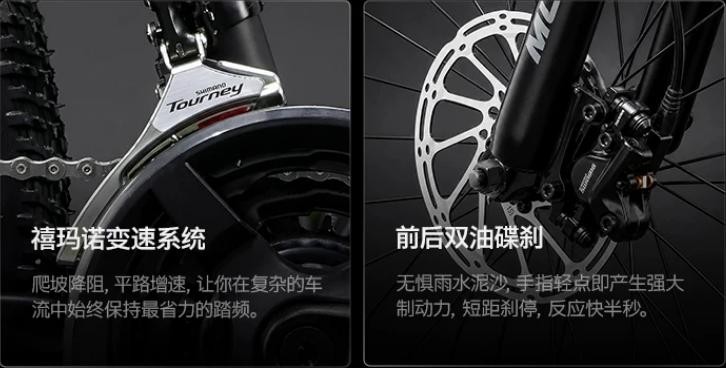 2026年十大自行車大人騎行專用品牌推薦，誰才是熱銷榜第一？